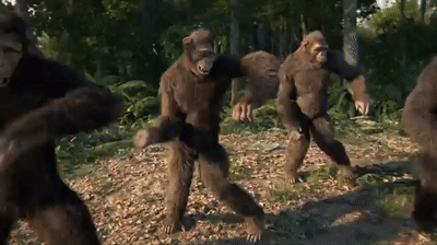Monkey animation